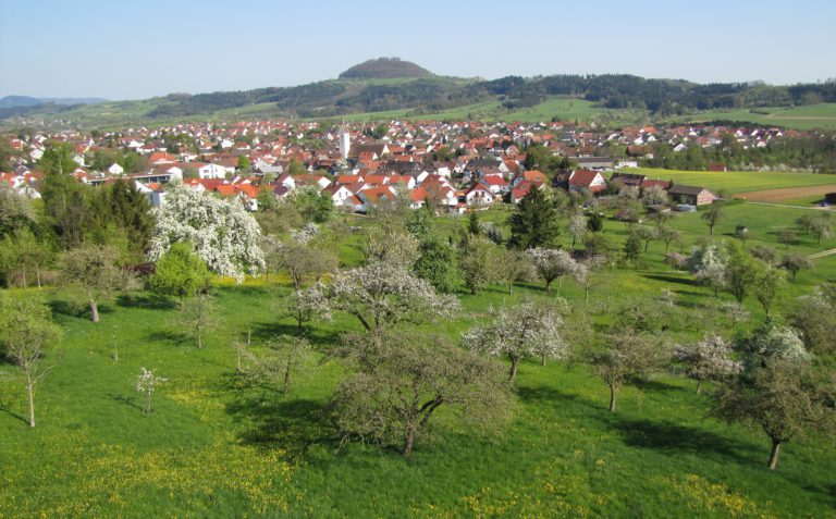 Ergebnis des Bürgerentscheid ist ein Auftrag