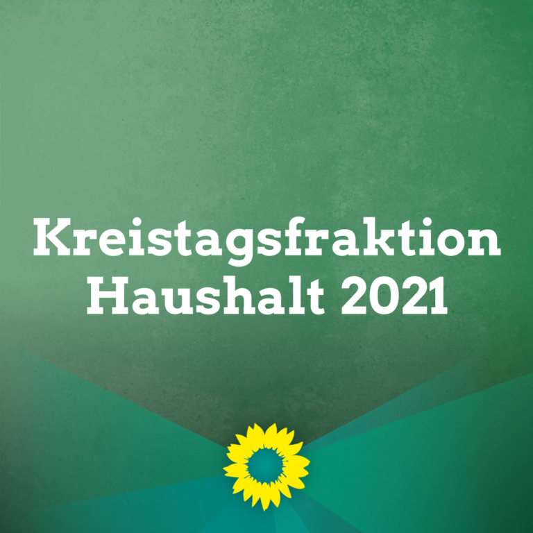 Stellungnahme der Kreistagsfraktion Bündnis 90/ Die Grünen zur Verabschiedung des Haushaltes 2021