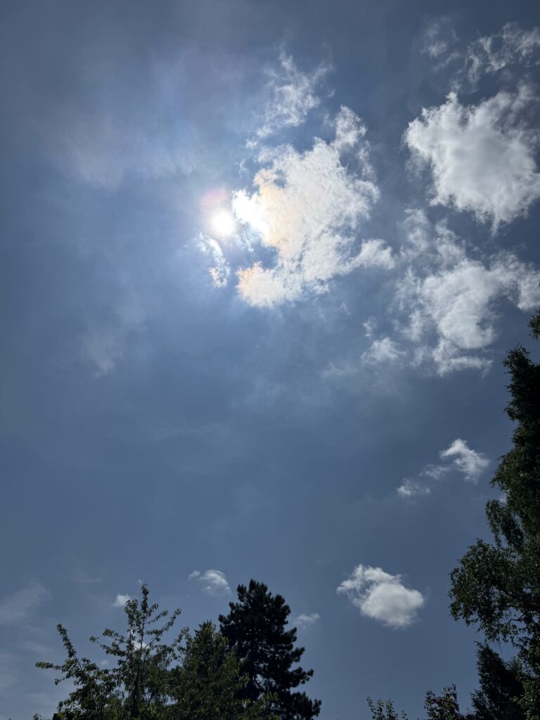 Hitze und Schwammstadt
