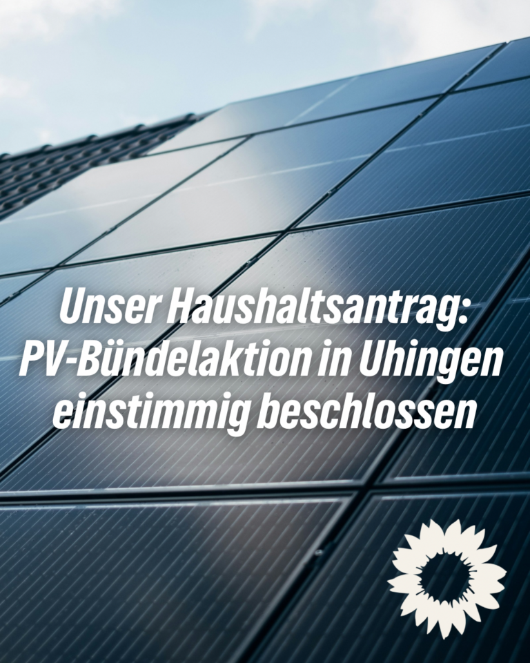 Grün wirkt: Unser Antrag zur PV-Bündelaktion einstimmig angenommen