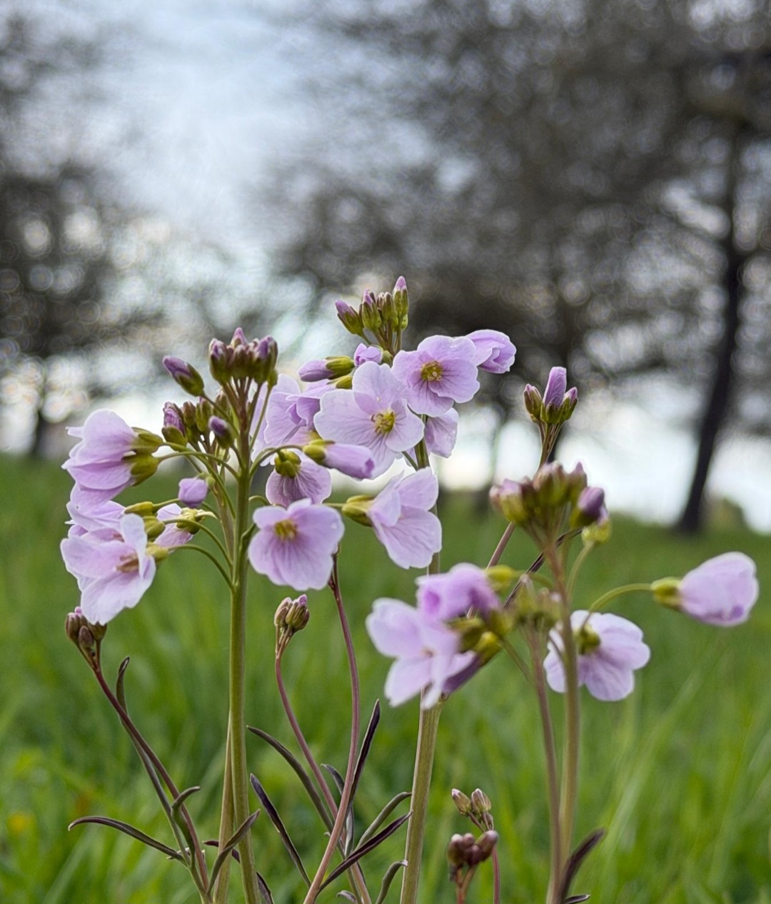 Urheberin Foto: (G)LÜCKS Photographie